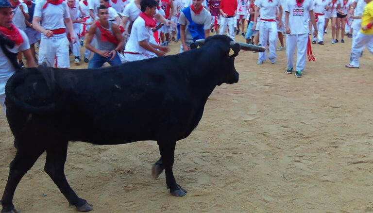 San Fermin Pamplona, Spain