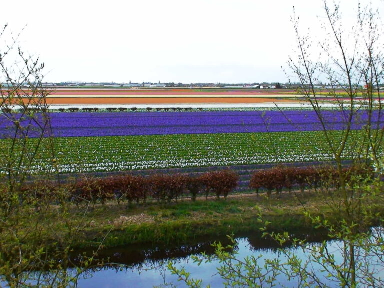 Amsterdam, Netherlands