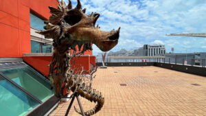 New Orleans Featured Traveler