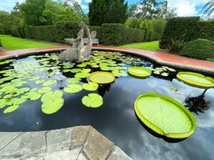 New Orleans Featured Traveler