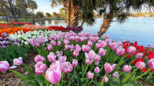 New Orleans Featured Traveler