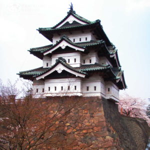 Hirosaki Cherry Blossom Festival