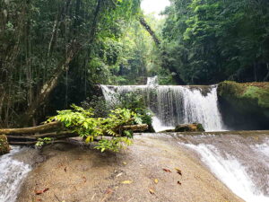 Middle Quarters, Jamaica