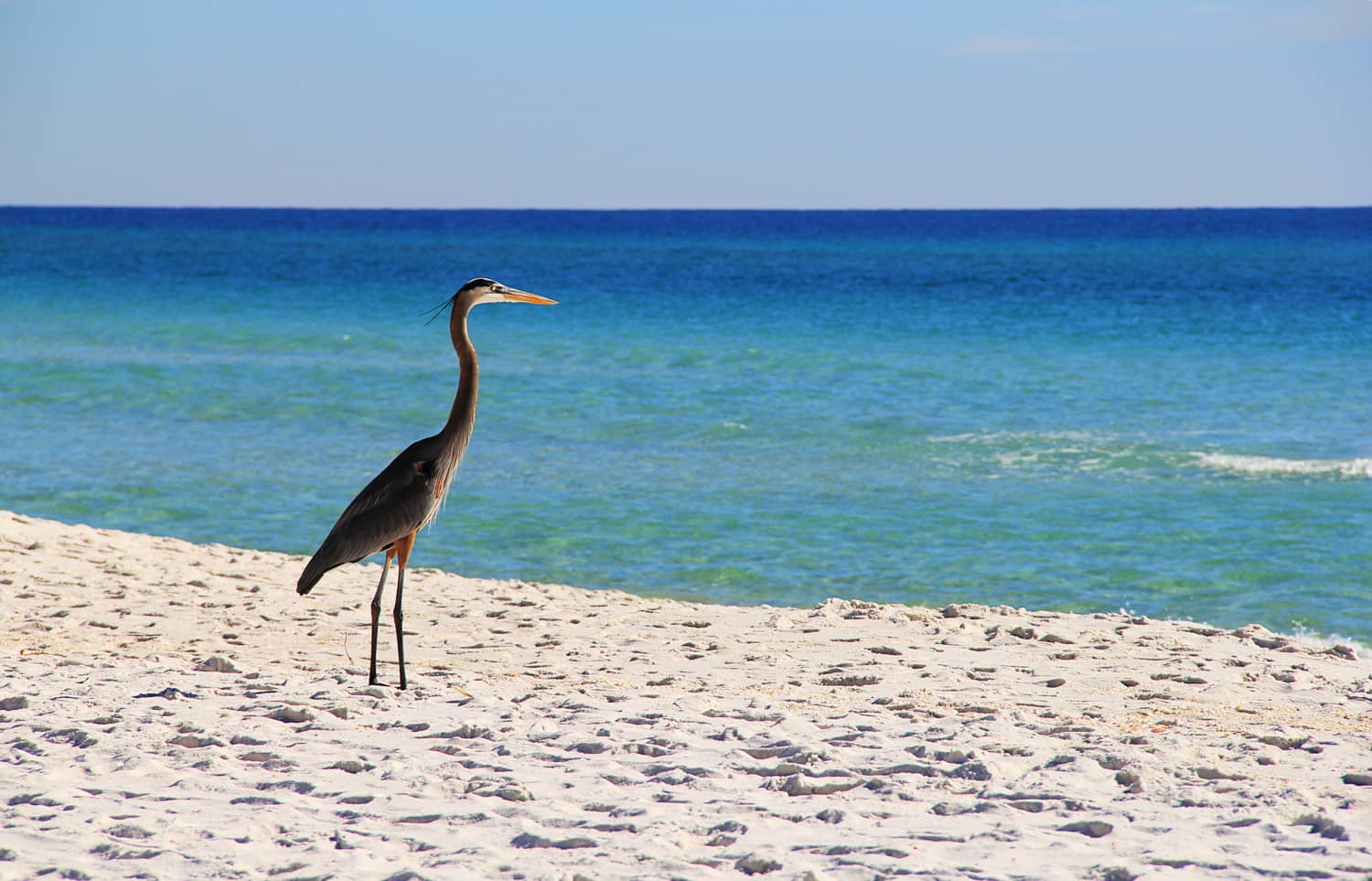 Gulf Islands National Seashore (Santa-Rosa), Florida - Traveling Session