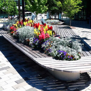 Greenville, South Carolina