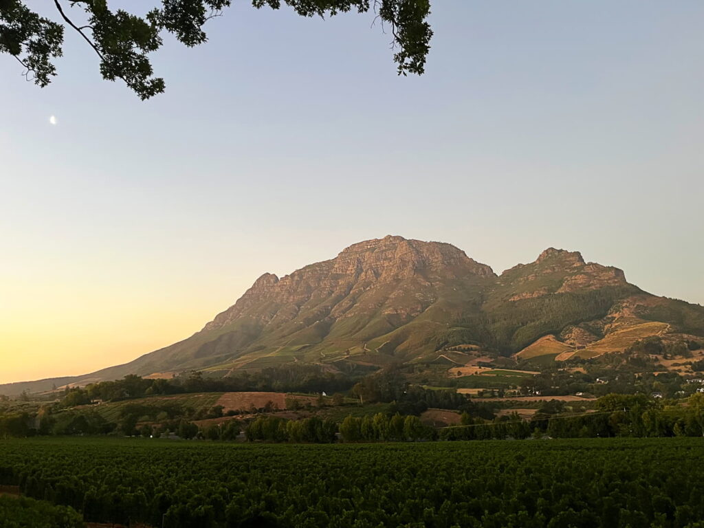 Cape Town Featured Traveler - Jelani Millard