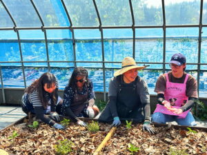 Volunteering at Ire Farms