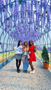 Buan Masil Fest Lavendar Walk