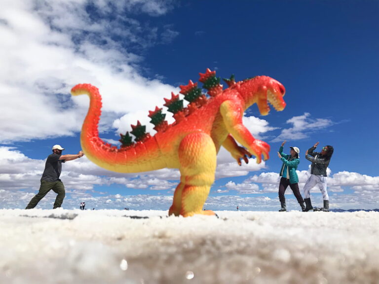 Salt Flats Dinosaur - Sara Roccisano