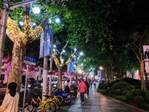Shanghai at Night