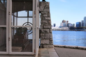 Nine O Clock Gun Stanley Park 6 - Tazim Damji