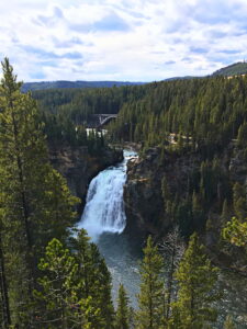 Grand Canyon of the Yellowstone Falls - Amanda Smith