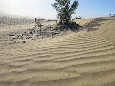 Death Valley National Park