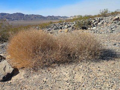Death Valley National Park