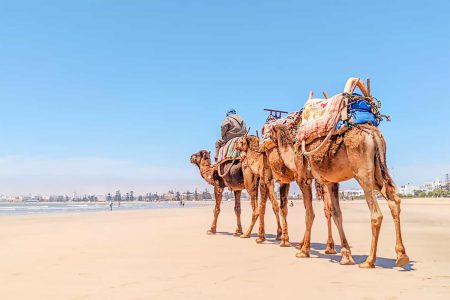 Essaouira, Morocco