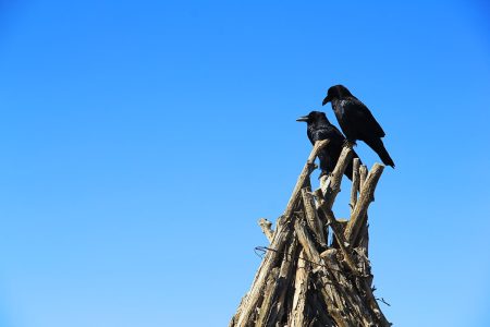 Grand Canyon West Rim, Arizona