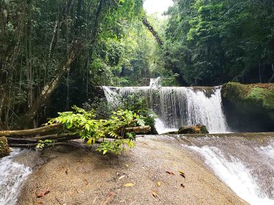 Middle Quarters, Jamaica