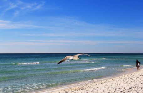Navarre Beach, Florida