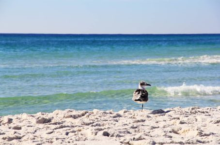 Navarre Beach, Florida