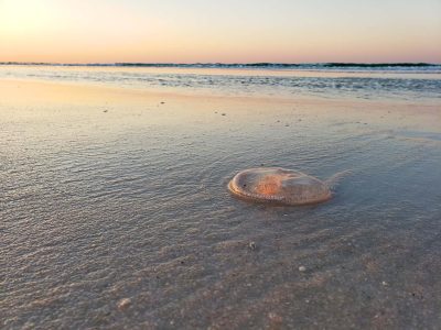 Gulf Island National Seashore (Santa-Rosa), Florida